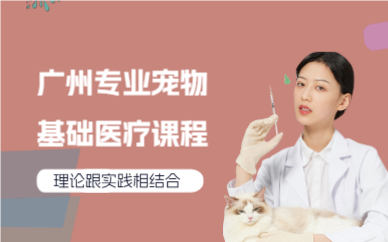 广州专业宠物基础医疗课程