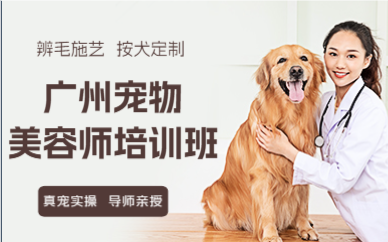 广州宠物美容师培训班