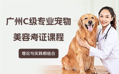 广州C级专业宠物美容考证课程
