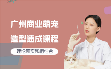 广州商业萌宠造型速成课程