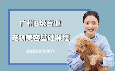 广州B级专业宠物美容基础课程