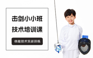 深圳擊劍小小班技術(shù)培訓(xùn)課