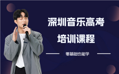 深圳音樂高考培訓(xùn)課程