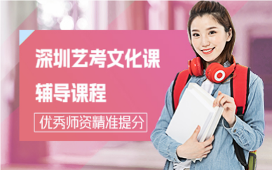 深圳藝考文化課輔導(dǎo)課程