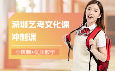 深圳艺考文化课冲刺课