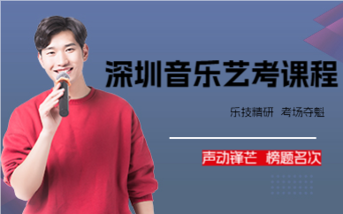 深圳音乐艺考课程