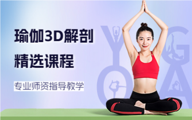 深圳瑜伽3D解剖精选课程
