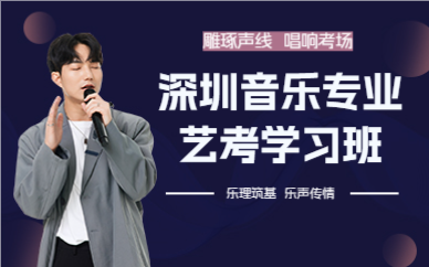 深圳音乐专业艺考学习班