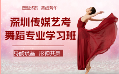 深圳传媒艺考舞蹈专业学习班