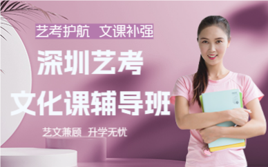 深圳艺考文化课辅导班