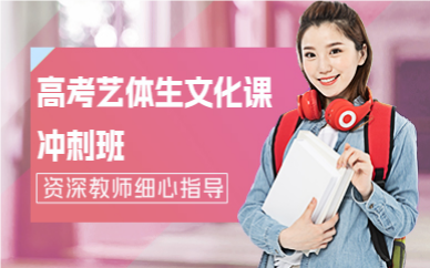 深圳高考艺体生文化课冲刺班
