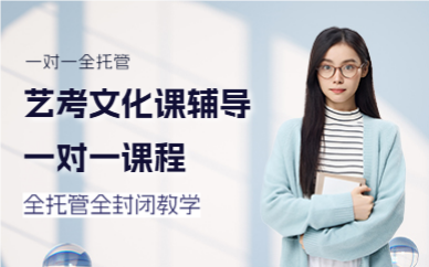 北京藝考文化課輔導一對一課程
