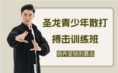 北京圣龍青少年散打搏擊訓(xùn)練班