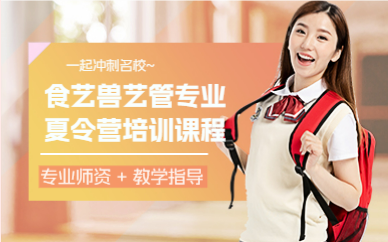 北京艺术管理专业夏令营培训课程