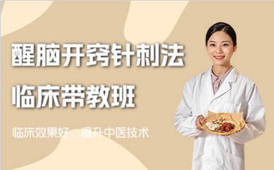 北京醒腦開竅針刺法臨床帶教班