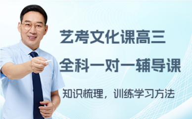 北京艺考文化课高三全科一对一辅导课