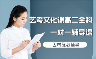 北京艺考文化课高二全科一对一辅导课