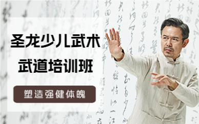 北京圣龍少兒武術(shù)武道培訓(xùn)班