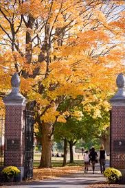 校區(qū)環(huán)境