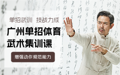 广州单招体育武术集训课
