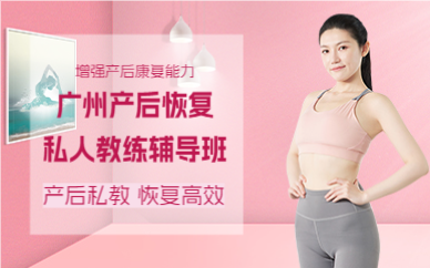 廣州產(chǎn)后恢復(fù)私人教練輔導(dǎo)班