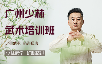 广州少林武术培训班