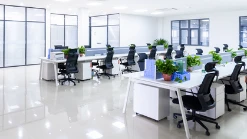 11月廣州智輝體育咨詢有限公司成立