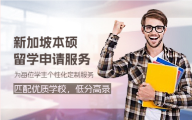上海新加坡本硕留学申请服务项目