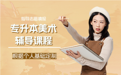 上海专升本美术辅导课程