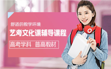 上海艺考文化课辅导课程