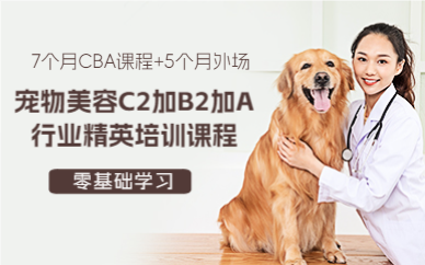 上海宠物美容C2加B2加A行业精英培训课程
