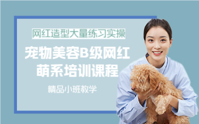 上海宠物美容B级网红萌系培训课程