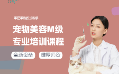 上海宠物美容M级专业培训课程