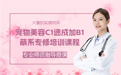 上海宠物美容C1速成加B1萌系专修培训课程
