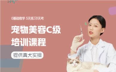 上海宠物美容C级培训课程