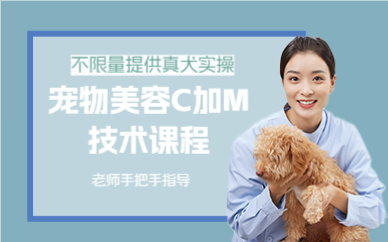 上海宠物美容C加M技术课程