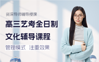 上海高三艺考全日制文化辅导课程