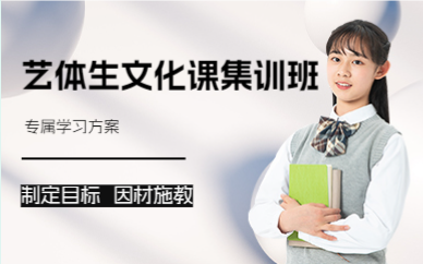 成都艺体生文化课集训班