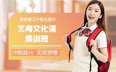 成都艺考文化课集训班