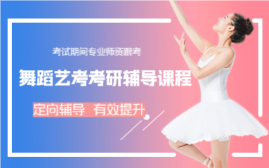 成都舞蹈艺考考研辅导课程