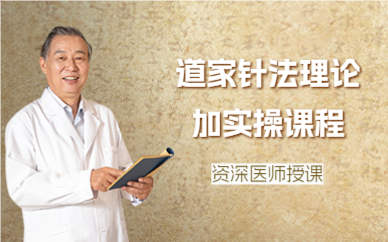 成都道家针法理论加实操课程