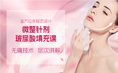 成都微整针剂玻尿酸填充课
