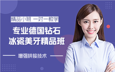上海专业德国钻石冰瓷美牙精品班