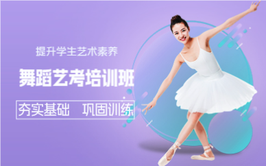 成都舞蹈艺考培训班