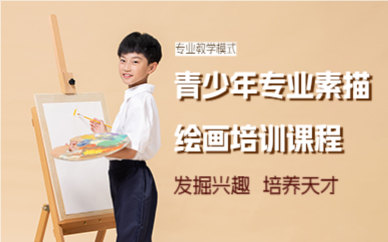 成都青少年专业素描绘画培训课程