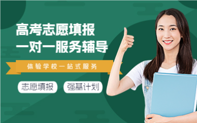 成都高考志愿填报一对一服务辅导