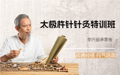 成都太极杵针针灸特训班