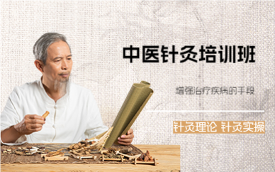 成都国耀中医针灸培训班