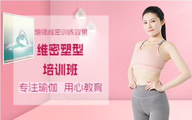 成都维密塑型培训班