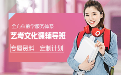 佛山艺考文化课辅导班